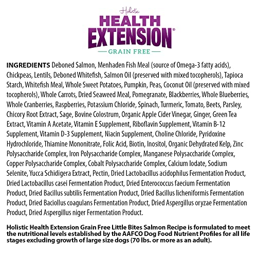Health Extension Grain Free Little Bites for Dogs, Natural Food with Added Vitamins and Minerals, Perfect for Teacup, Toy and Miniature Dogs, Salmon Recipe (3.5lb Bag)