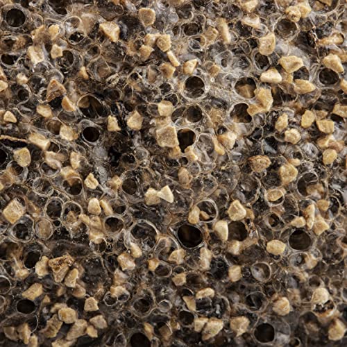 Parissa Ingrown Rescue Kit, Post-Hair Removal Treatment for Ingrown Hair and Razor Bumps, 3 Step Kit to Cleanse, Exfoliate, and Moisturize