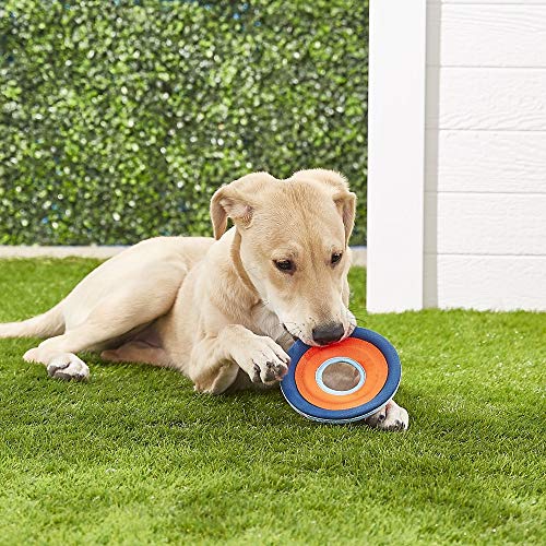 Chuckit! Zipflight Dog Toy, Small
