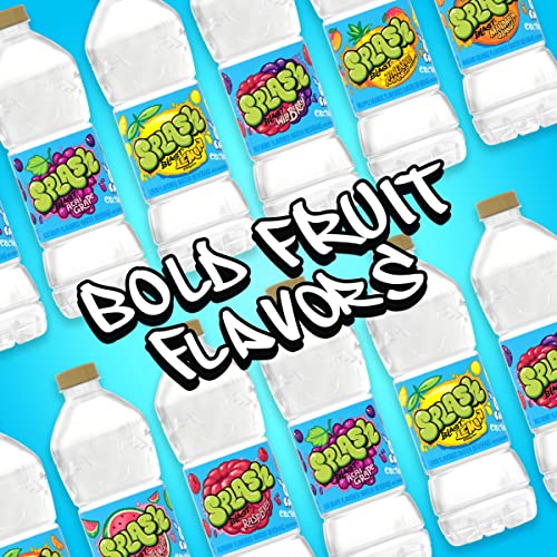 Splash Blast, Wild Berry Flavored Water, Zero Sugar, with Electrolytes, 16.9 Fl Oz, 6 Pack