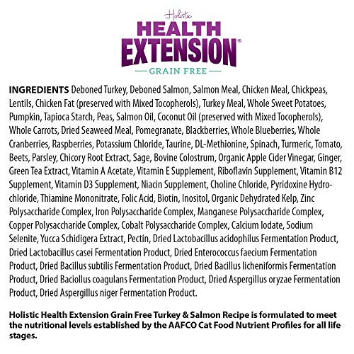 Health Extension Dry Cat Food, Natural Food with Added Vitamins and Minerals, Suitable for All Kittens and Adult Cats, Turkey and Salmon Recipe with Whole Vegetable and Berries (15 Pound / 6.8 kg)