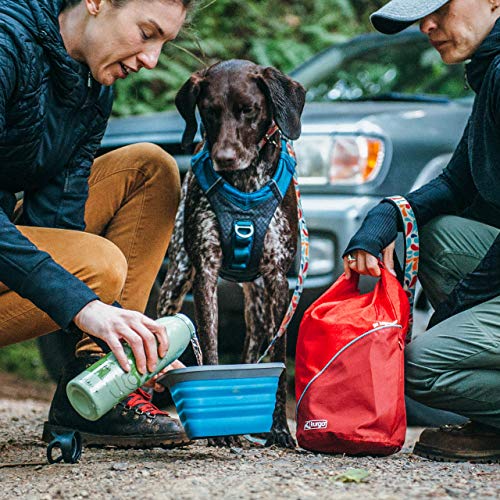 Kurgo Dog Food Travel Bag | Pet Food Travel Storage Container | Dog Travel Accessories for Camping | Easy to Clean | BPA Free | Foldable | Holds 5 Pounds | Kibble Carrier | Coastal Blue and Chili Red