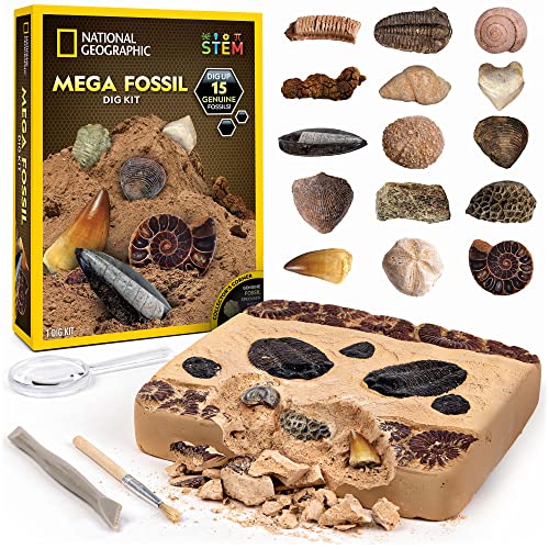 NATIONAL GEOGRAPHIC Mega Fossil Dig Kit - Excavate 15 Prehistoric Fossils Including Dinosaur Bones and Shark Teeth, Educational Toys, Great Science Kit Gift for Girls and Boys (Amazon Exclusive)