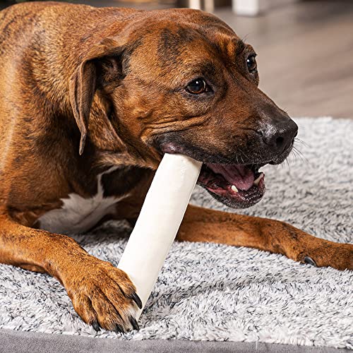 Pet Factory 100% Made in USA Beefhide 8' Rolls Dog Chew Treats - Natural Flavor, 10 Count/1 Pack