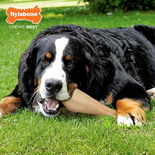 Nylabone Power Chew Jumbo Drumstick Big Dog Chew Toy Drumstick Chicken XX-Large/Monster (1 Count)