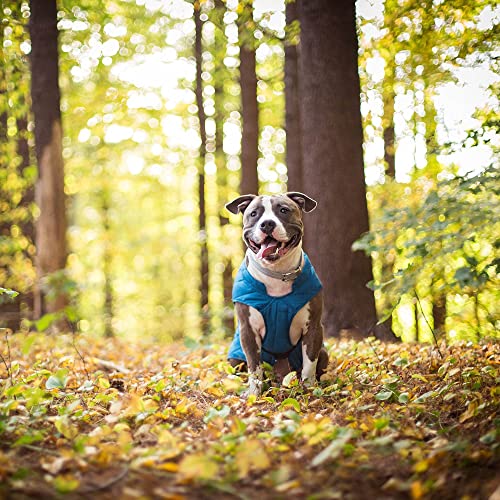 Kurgo Loft Dog Jacket - Reversible Fleece Winter Coat - Cold Weather Protection - Wear With Harness Or Additional Layers - Reflective Accents, Leash Access, Water Resistant - Coastal Blue/Orange, XS