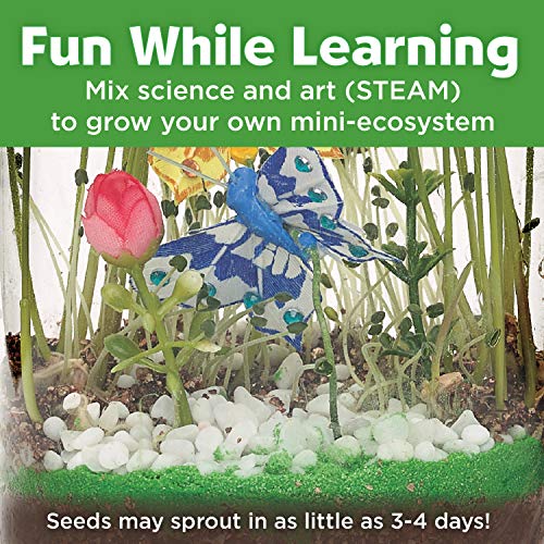 Creativity For Kids Sparkle N' Grow Butterfly Terrarium - Steam Crafts For Kids