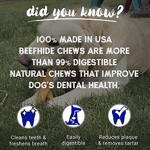 Pet Factory 100% Made in USA Beefhide 8' Rolls Dog Chew Treats - Natural Flavor, 10 Count/1 Pack