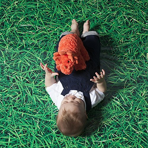 Manhattan Toy Little Jurassics Rory Dinosaur Stuffed Animal, 6 inches