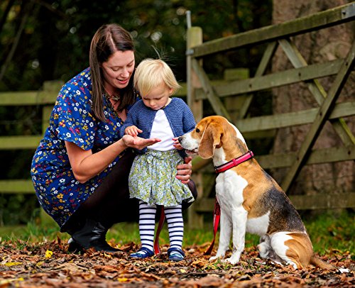 The Company of Animals - Halti Collar (18' - 26'), Large, Blue