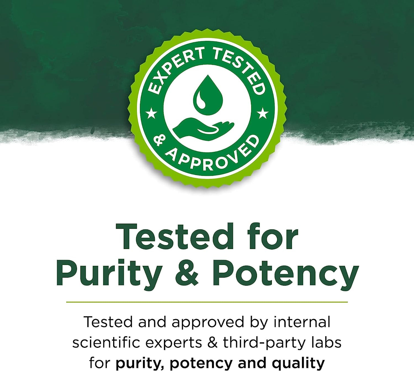 Swanson Japanese Ashitaba - Full Spectrum - Natural Formula for Immune System Support - (60 Capsules, 500mg Each)