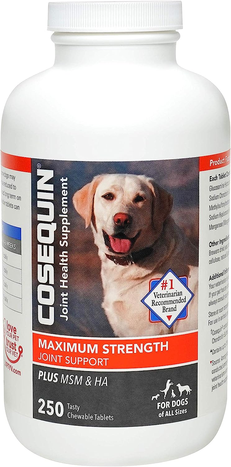 Nutramax Cosequin Maximum Strength Joint Health Supplement for Dogs - With Glucosamine, Chondroitin, and MSM, 250 Chewable Tablets